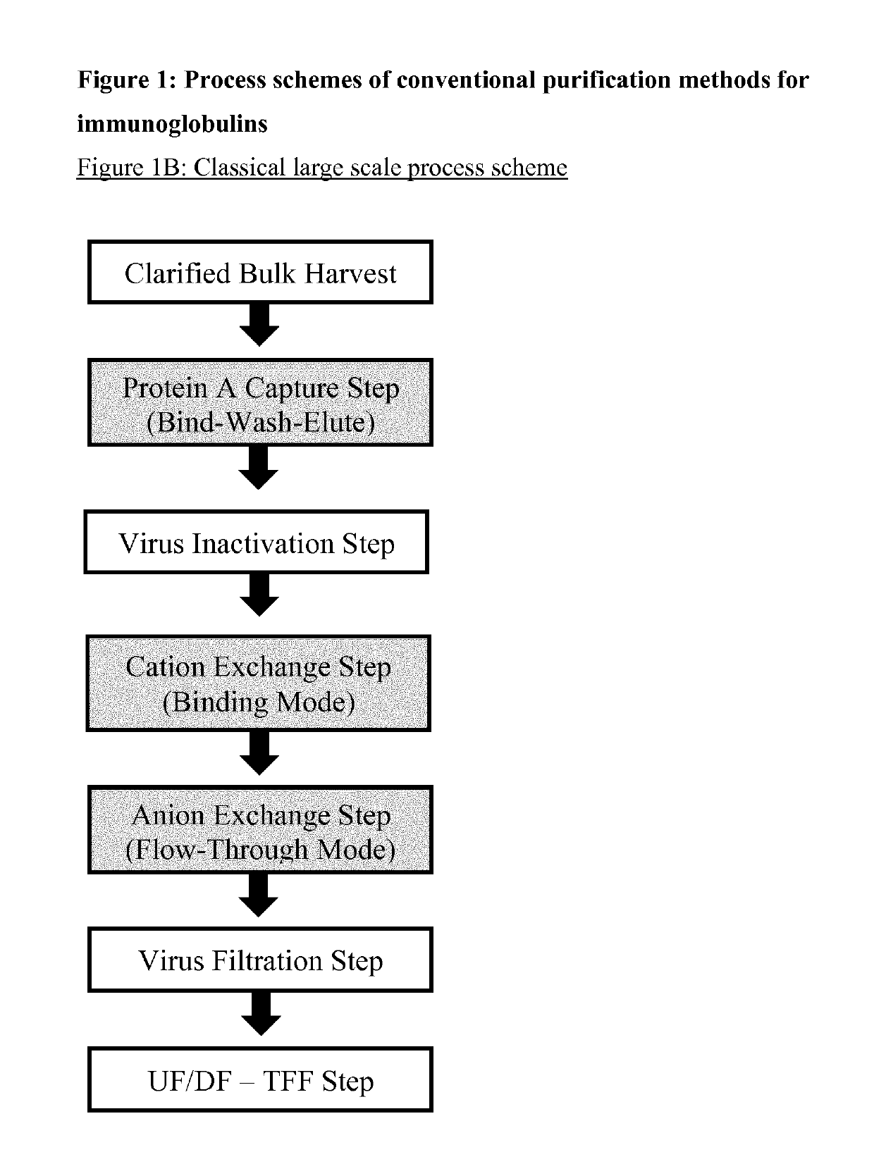 Immunoglobulin purification using pre-cleaning steps