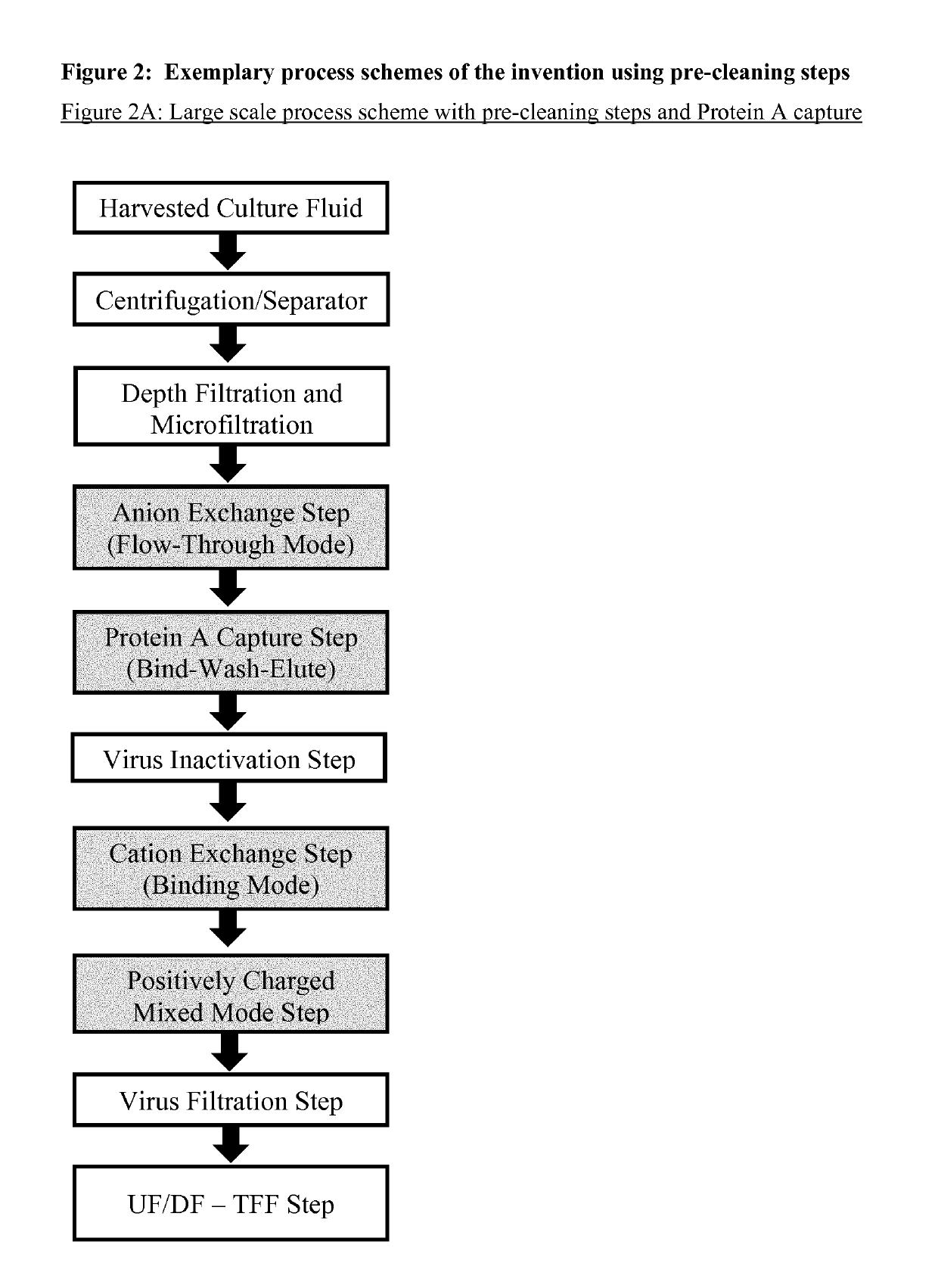 Immunoglobulin purification using pre-cleaning steps