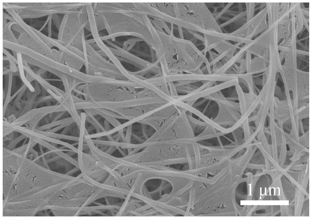 In-situ synthesized boron nitride nanosheet-nanotube composite material and preparation method thereof