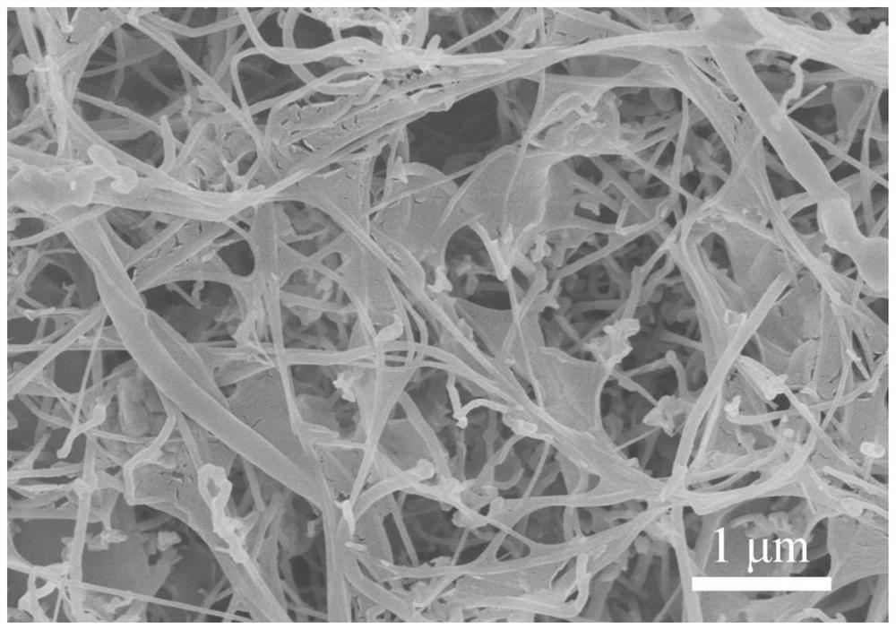 In-situ synthesized boron nitride nanosheet-nanotube composite material and preparation method thereof