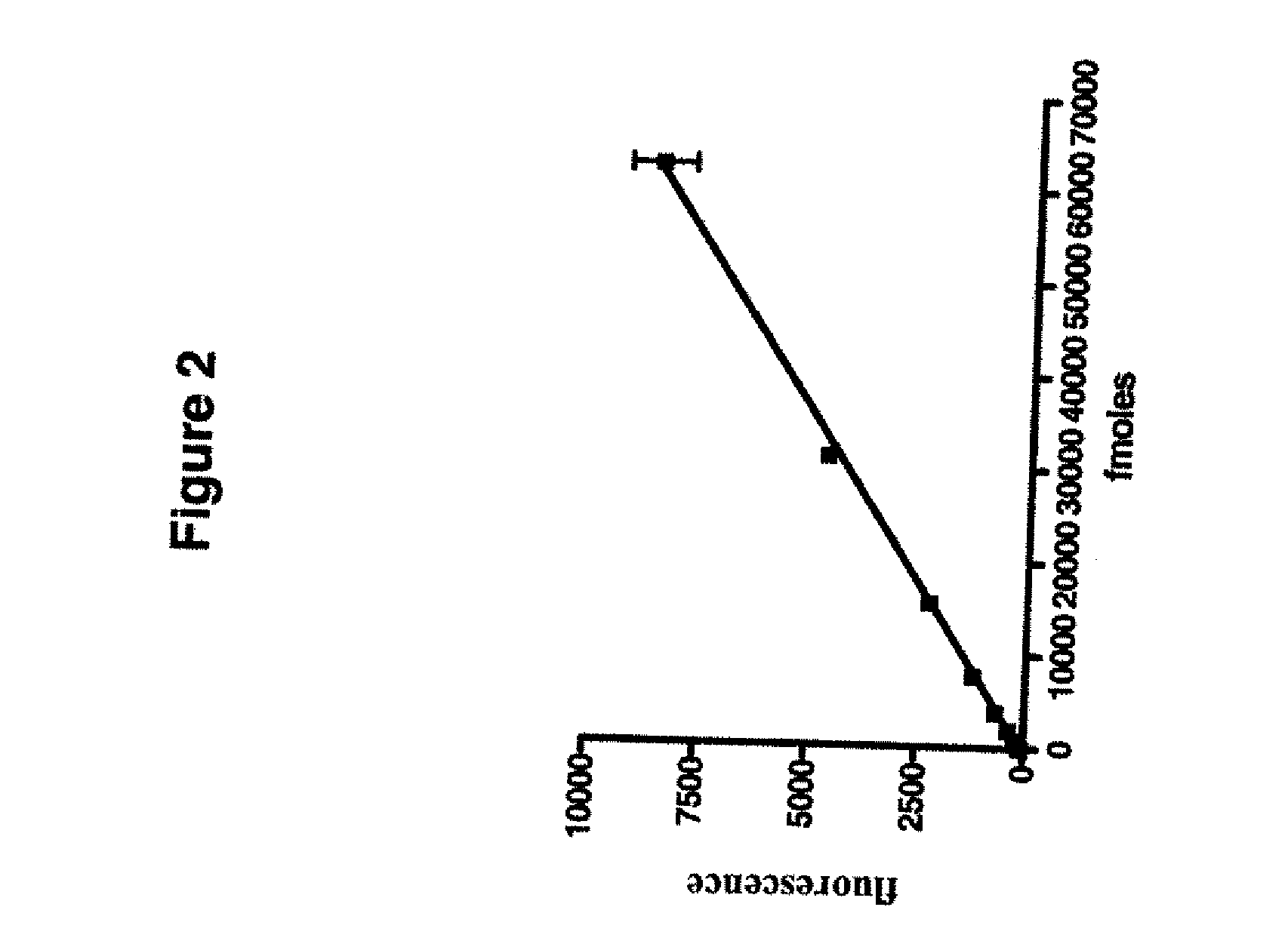 Development of a novel assay for mgmt (methyl guanine methyl transferase)