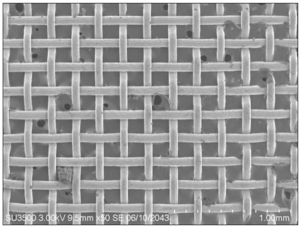 A kind of preparation method of superhydrophobic filter net of growing boron nitride nano-coral on the surface