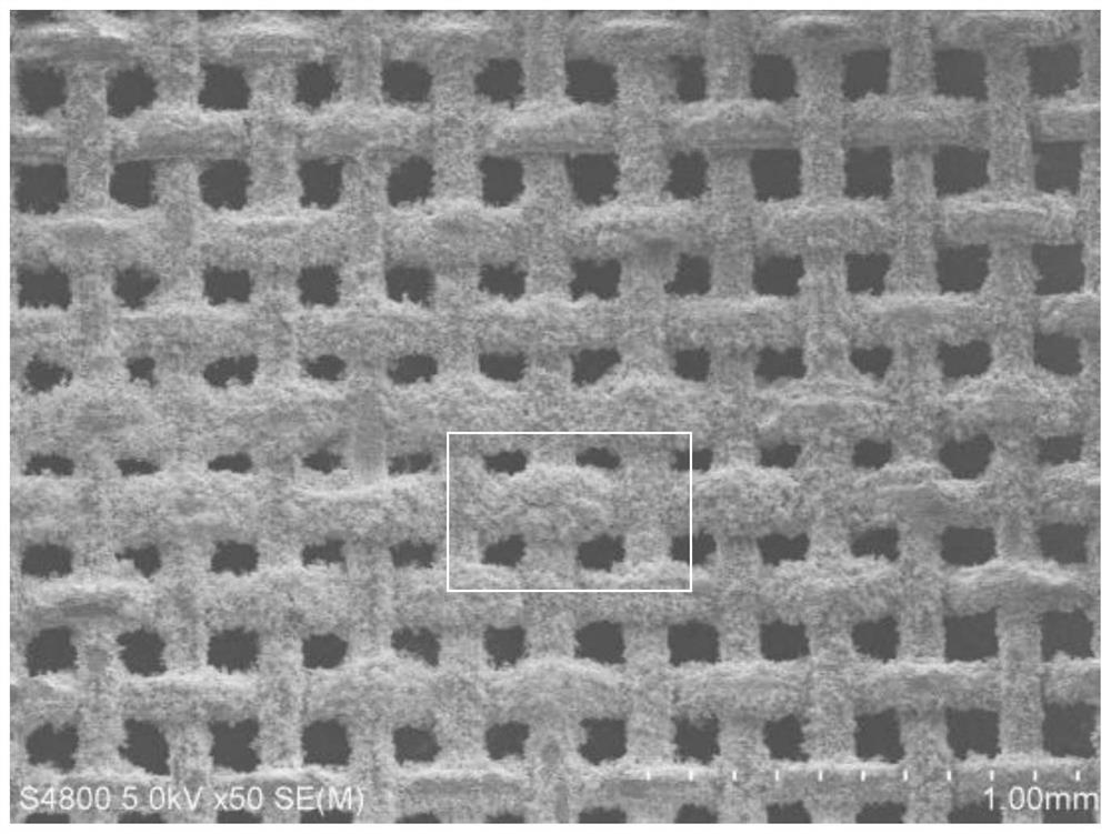 A kind of preparation method of superhydrophobic filter net of growing boron nitride nano-coral on the surface