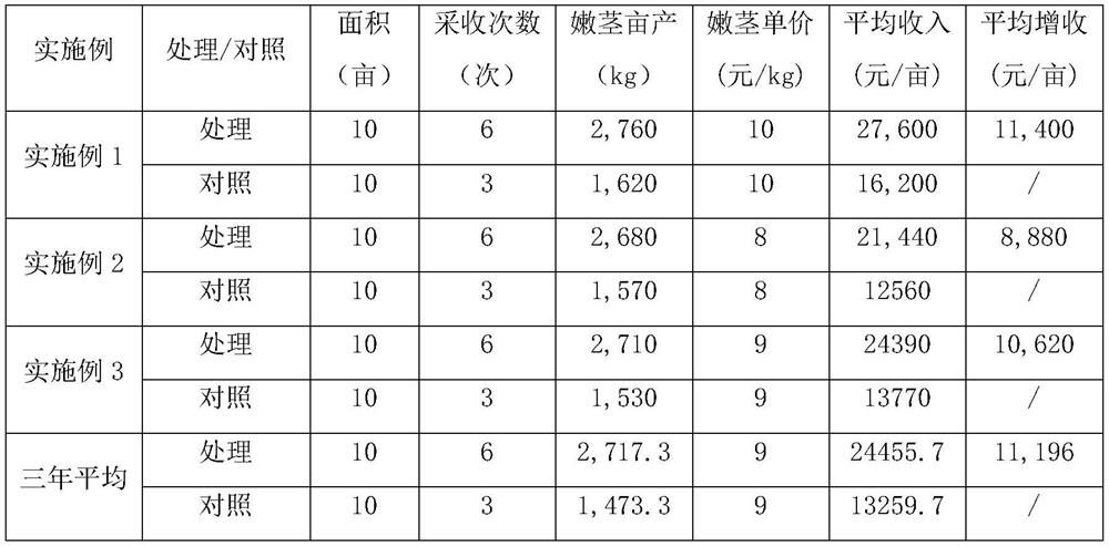 Efficient cultivation method for root remaining and regeneration of Yangxin artemisia selengensis