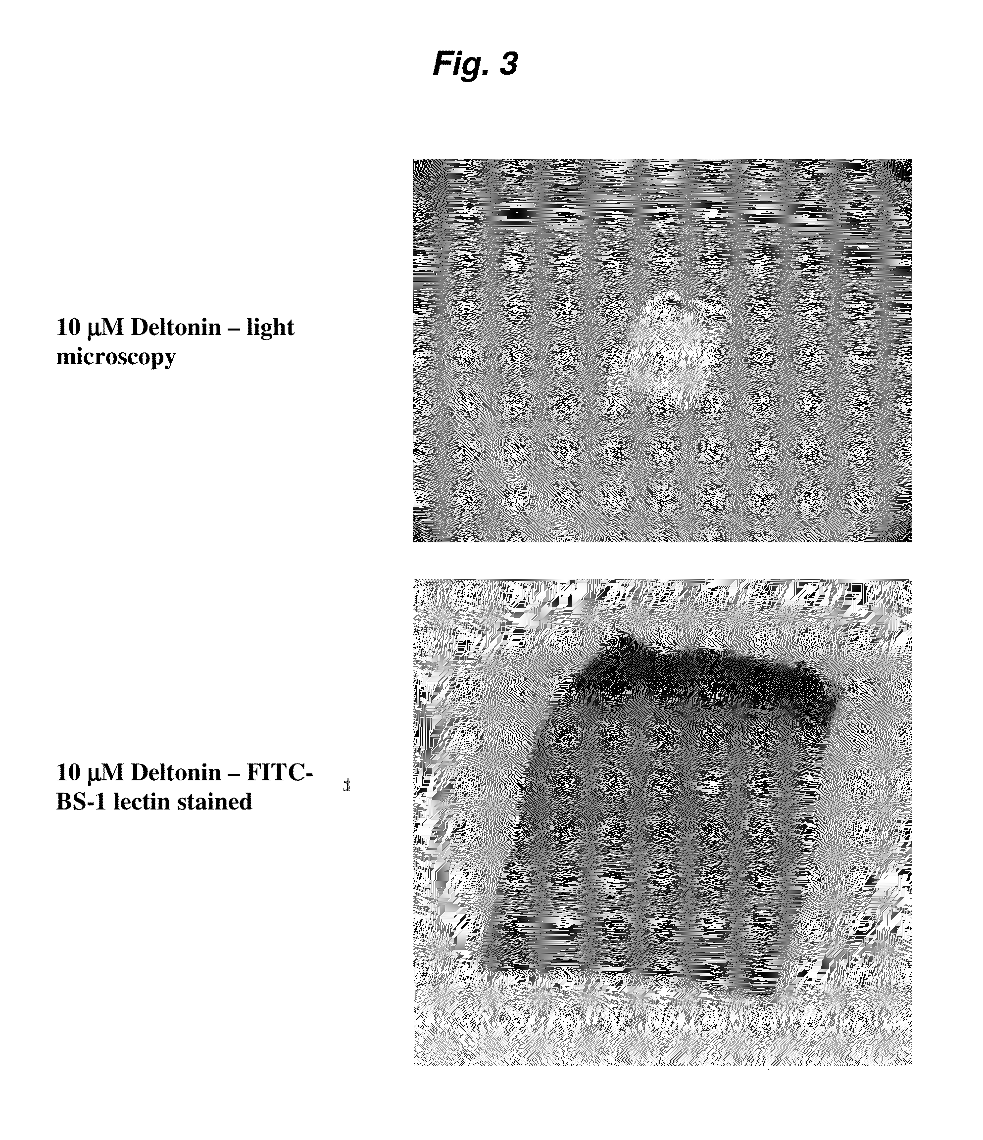 Methods and compositions for inhibiting angiogenesis