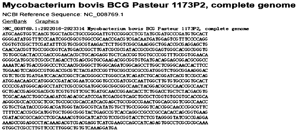 Mycobacterium bovis bacillus calmette guerin vaccine low-invasiveness mutant strain B2801