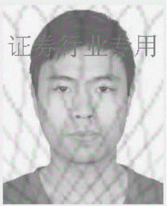 Method and device for removing mesh watermark from identification photo, face verification method and device