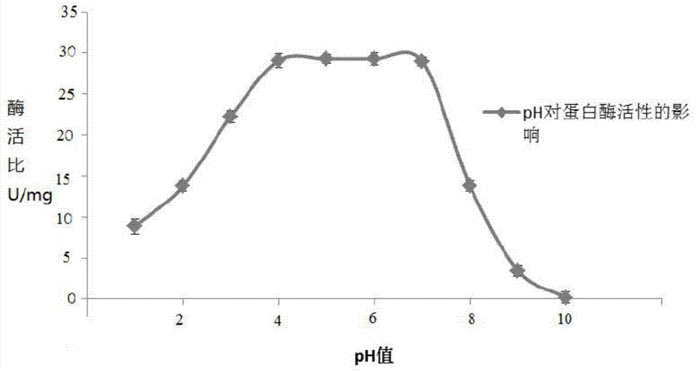 Separation method of visceral protease in golden pomfret and protease as well as application