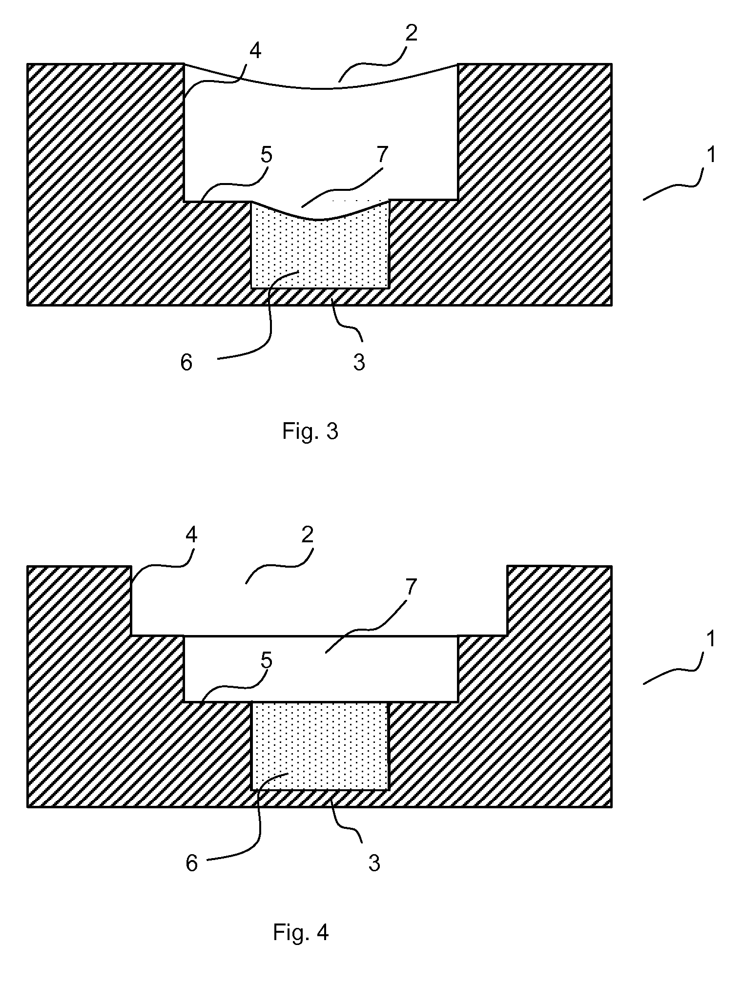 Specimen carrier for the study of cell growth