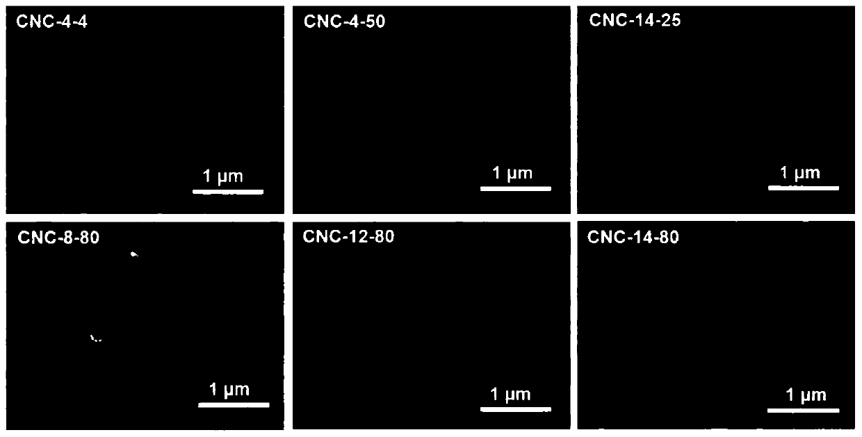 Crystalline-state nanocellulose-based double circularly polarized light/fluorescent thin film material as well as preparation method and application thereof to anti-counterfeiting label