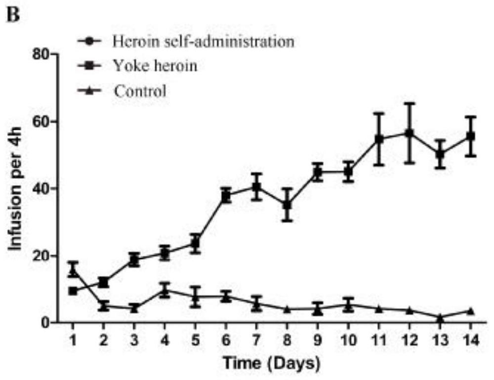 Application of GABRD methylation as heroin relapse resisting target