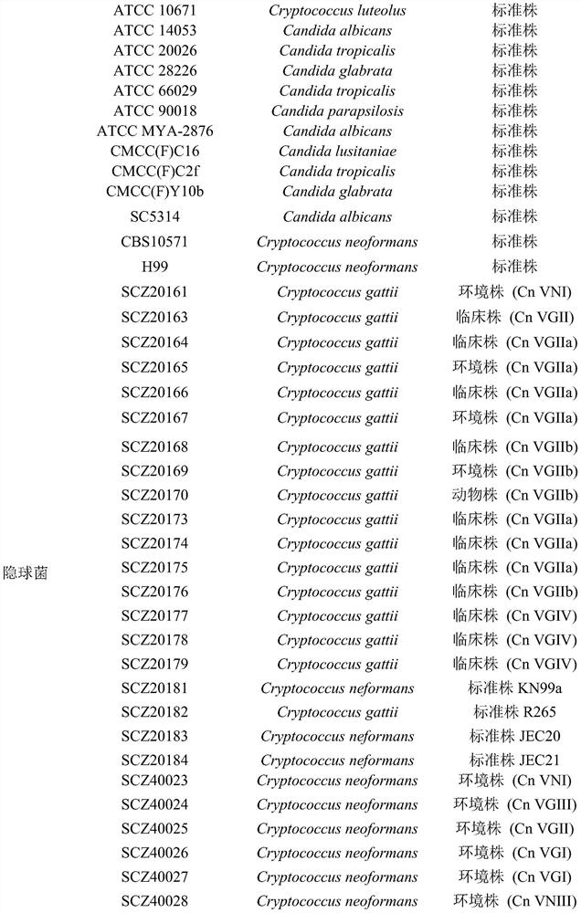 The use of saipinin in the preparation of antifungal drug sensitizer