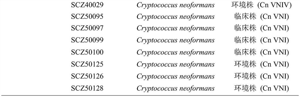 The use of saipinin in the preparation of antifungal drug sensitizer