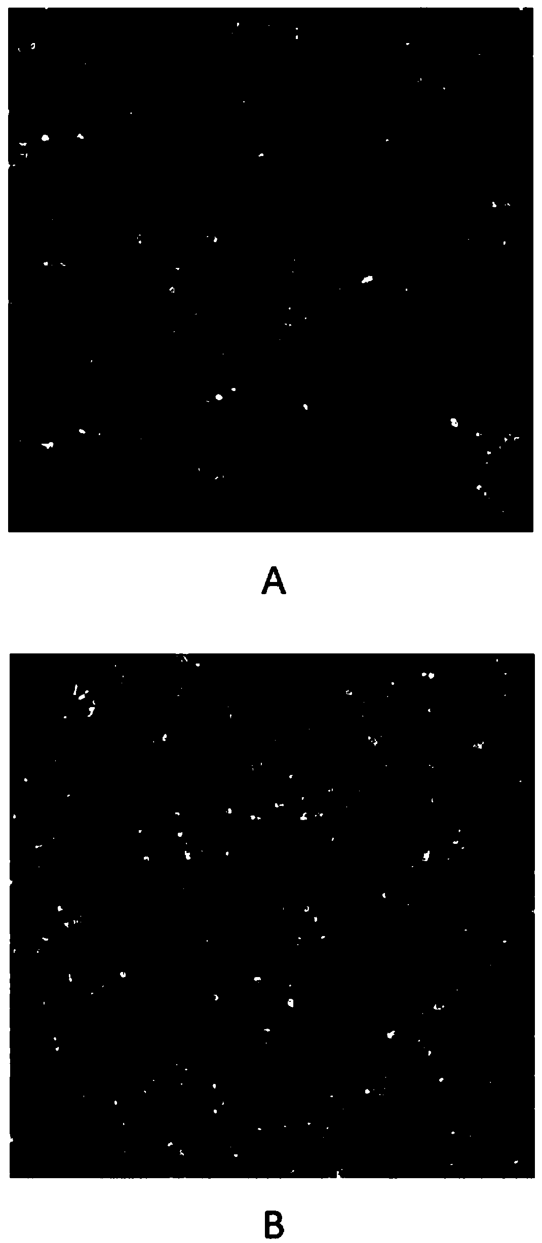 Method and kit for in vitro detecting responsiveness of epithelial tumor cells to therapeutic agent