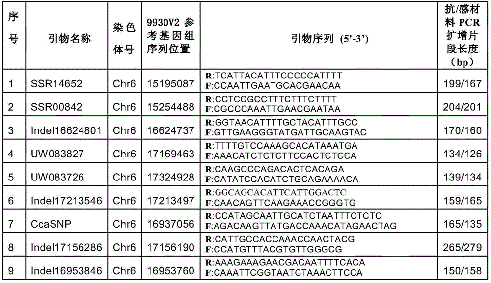 Corynespora cassiicola anti-disease gene Cca as well as encoding protein and application thereof