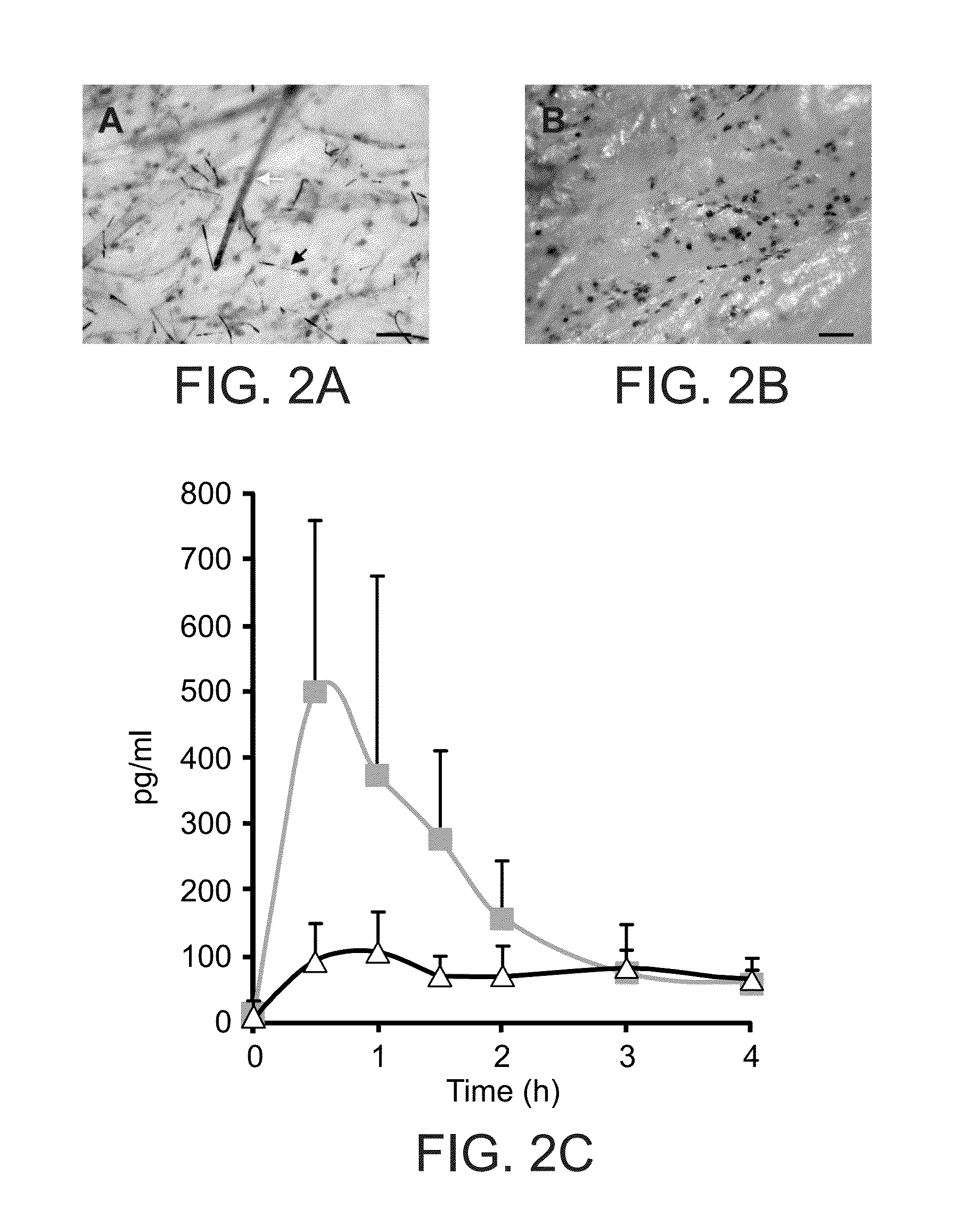 Pharmaceutical compositions and delivery devices comprising stinging cells or capsules