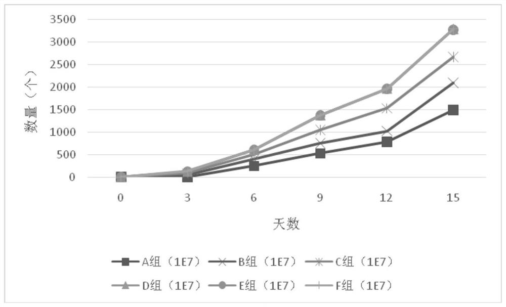 A kind of culture method of umbilical cord blood cik cell