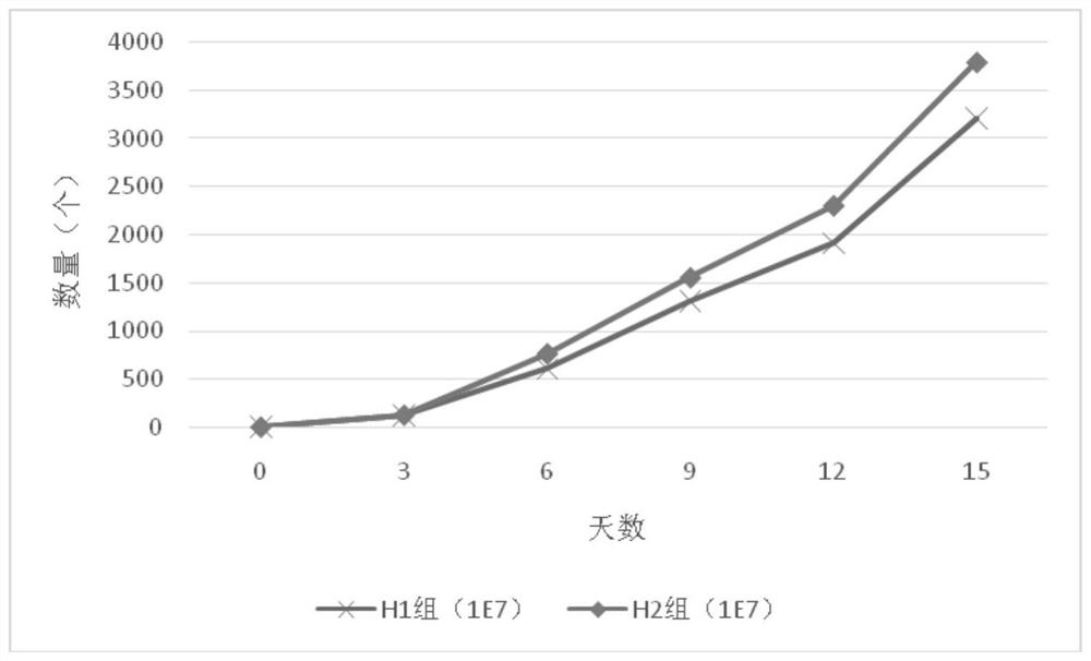 A kind of culture method of umbilical cord blood cik cell