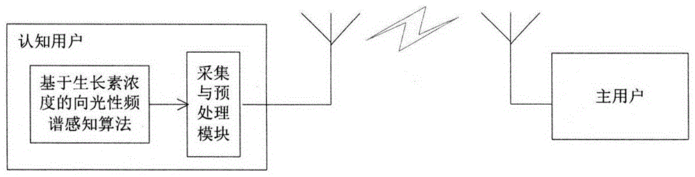 A Spectrum Sensing Method for Phototropism Based on Auxin Concentration