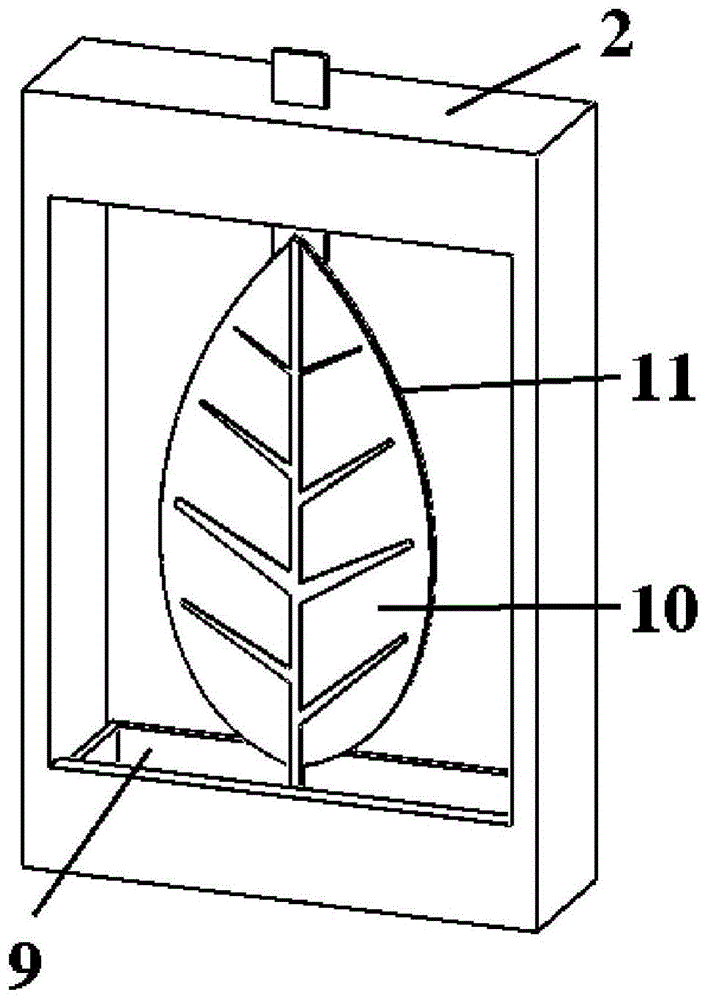 Plant leaf vein flow velocity measurement device and method
