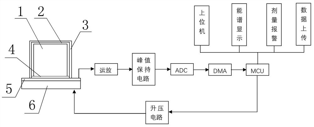 Individual dose equivalent measuring system in complex environment