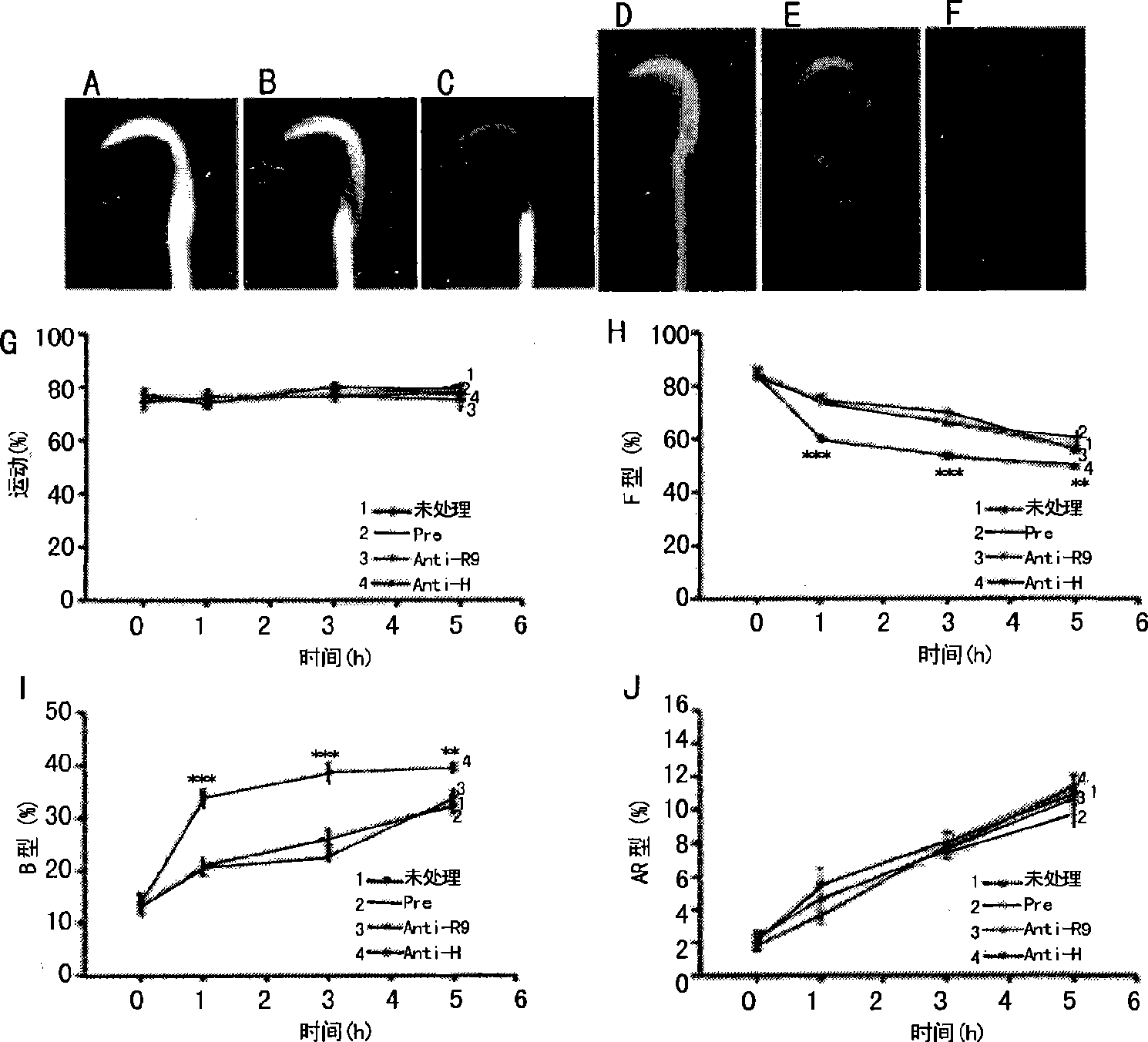 Protein capable of adjusting sperm capacitation and use thereof