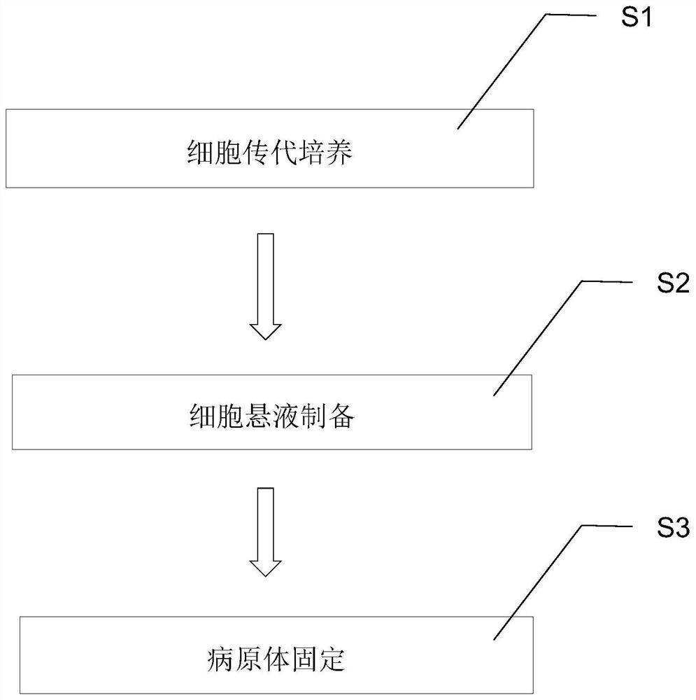 Method for preparing cell substrate, method for preparing kit and joint detection method