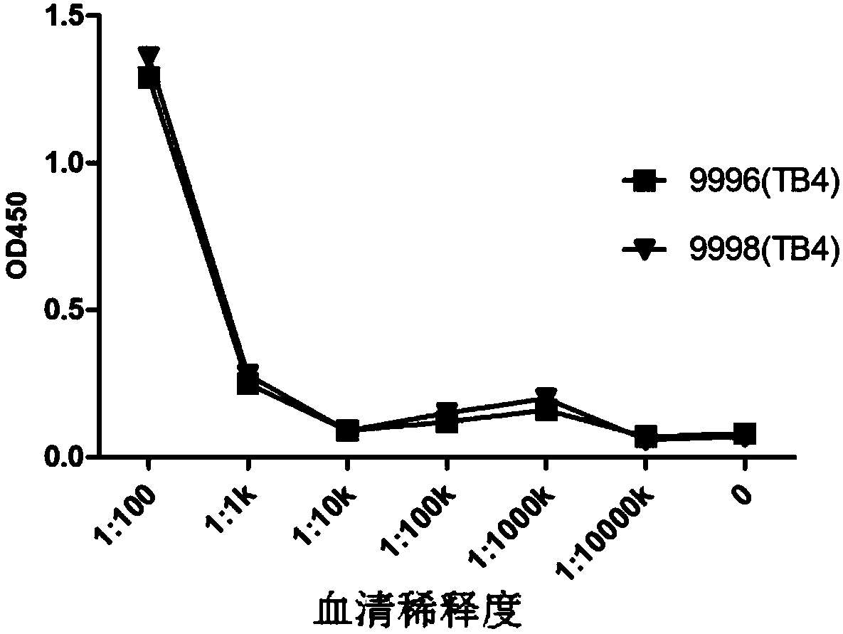 Anti-human vascular endothelial growth factor antibody, preparation method and application thereof