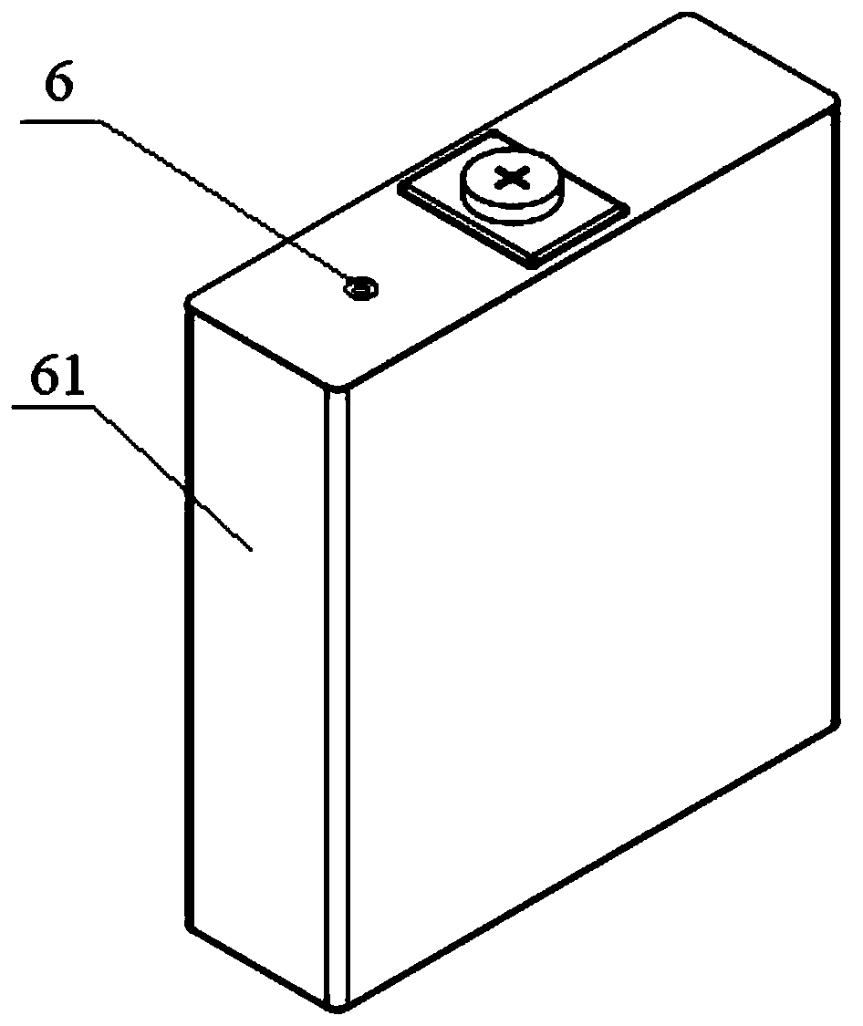 Circulating liquid injection device and process for lithium battery