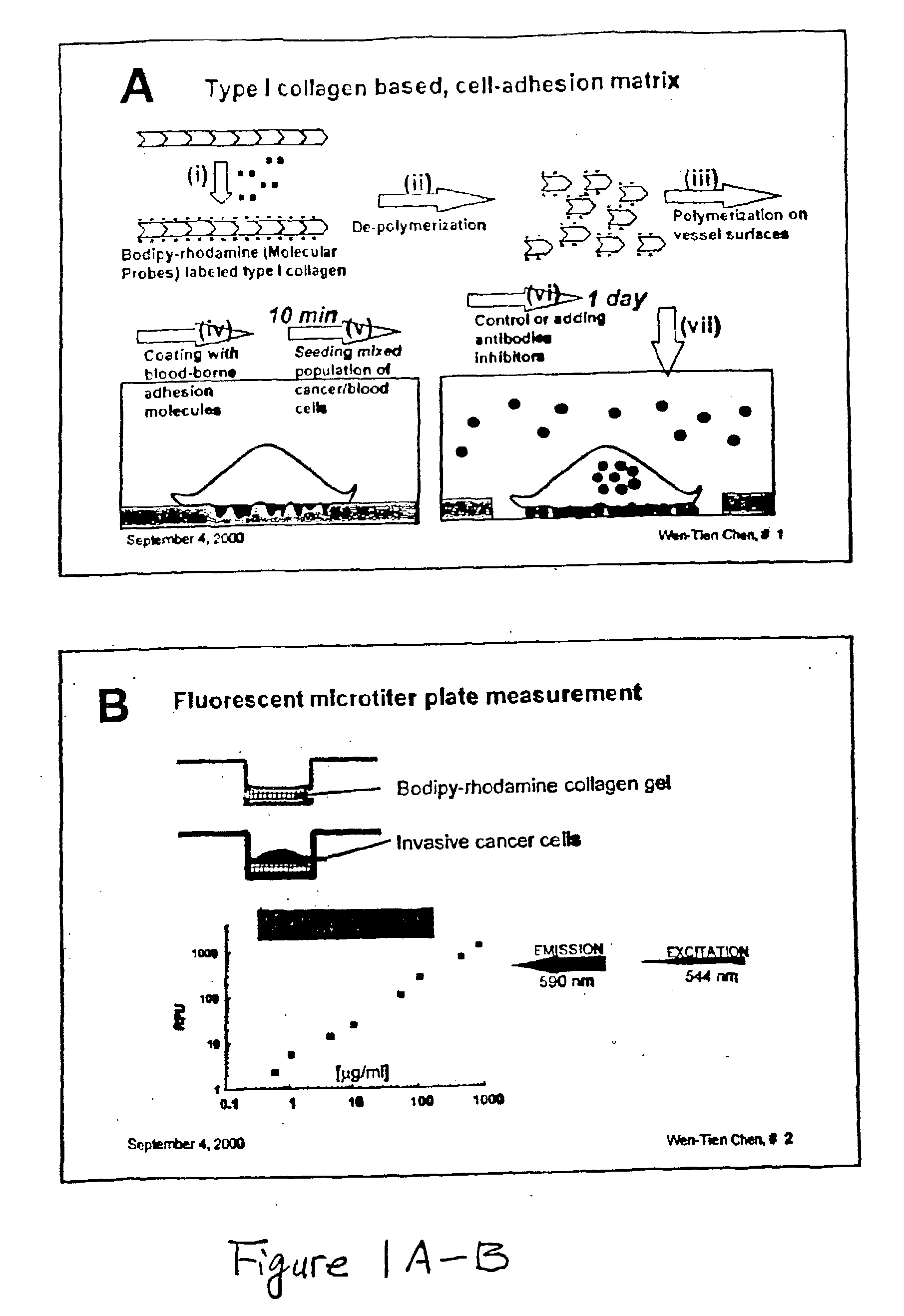 Method and compositions for isolating metastatic cancer cells, and use in measuring metastatic potentatial of a cancer thereof