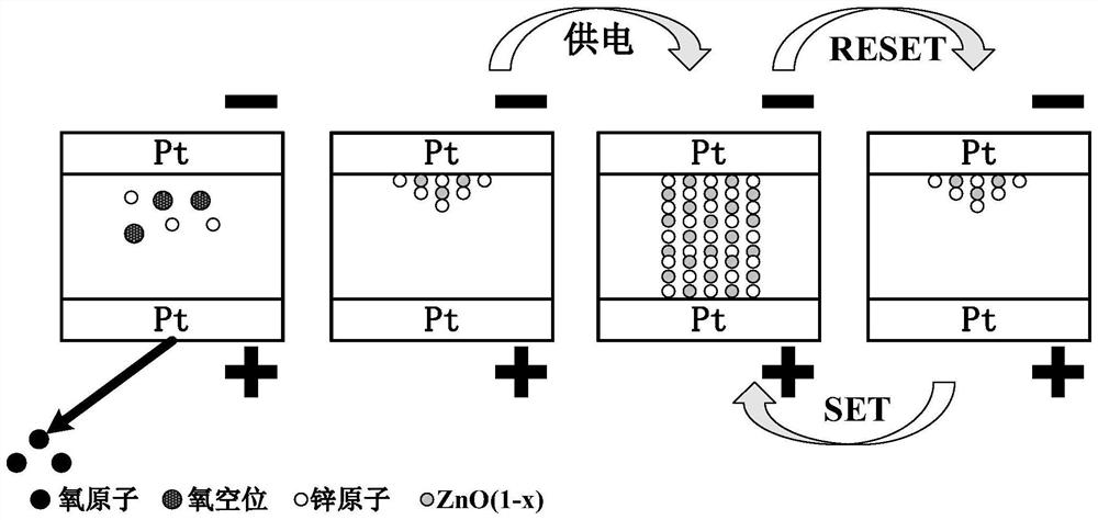 Novel photoelectric memristor based on PVK/ZnO heterostructure