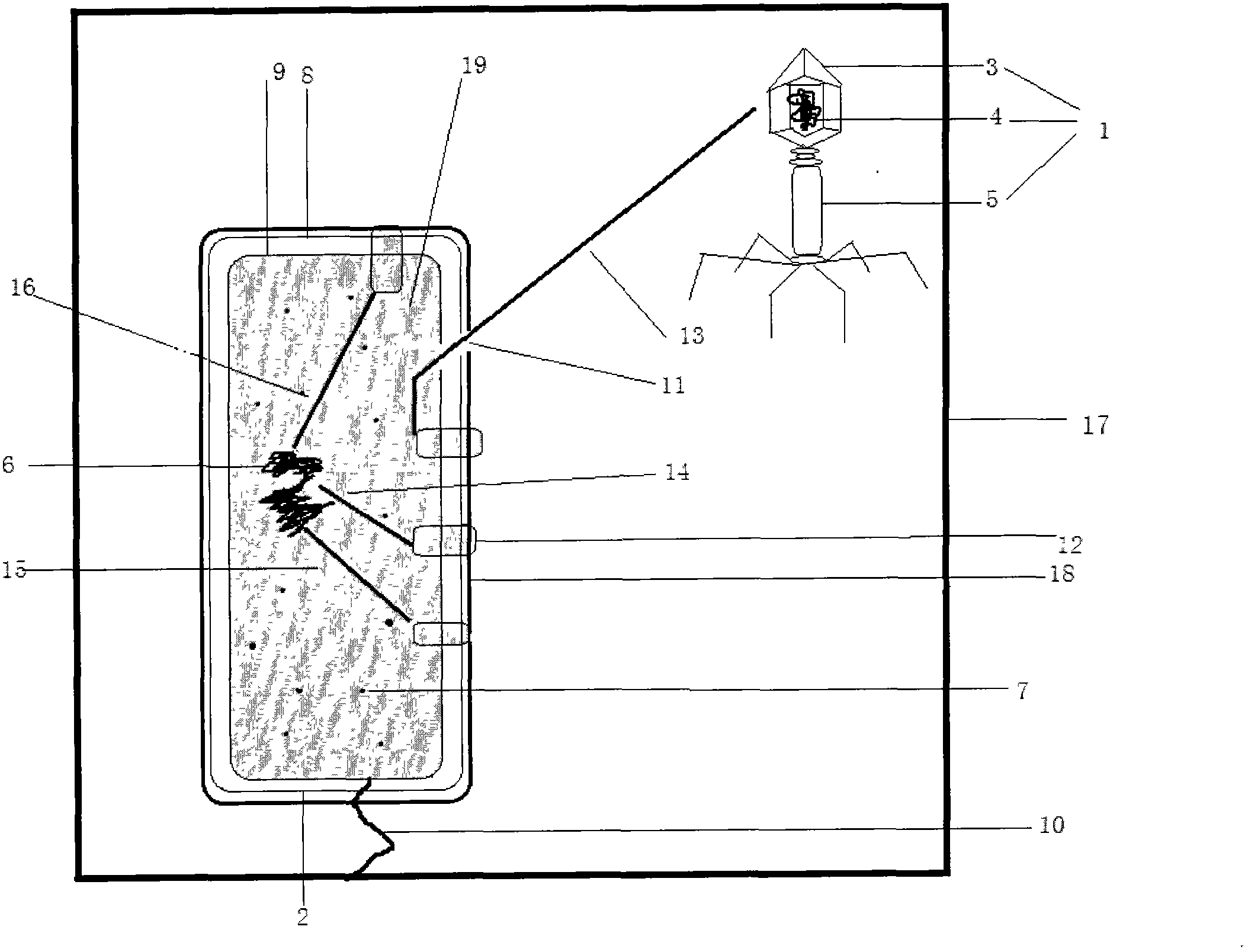 Teaching demonstration model for bacteriophage invading bacteria