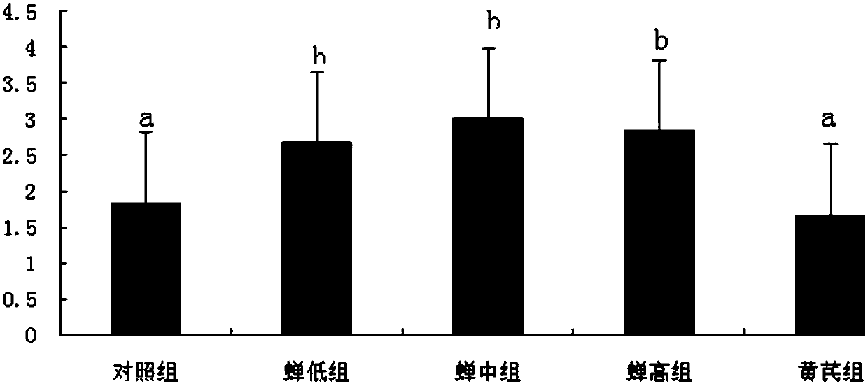 Application of Cicadae Cordyceps Polysaccharide in Preparation of Chicken Immunity Enhancement Reagent