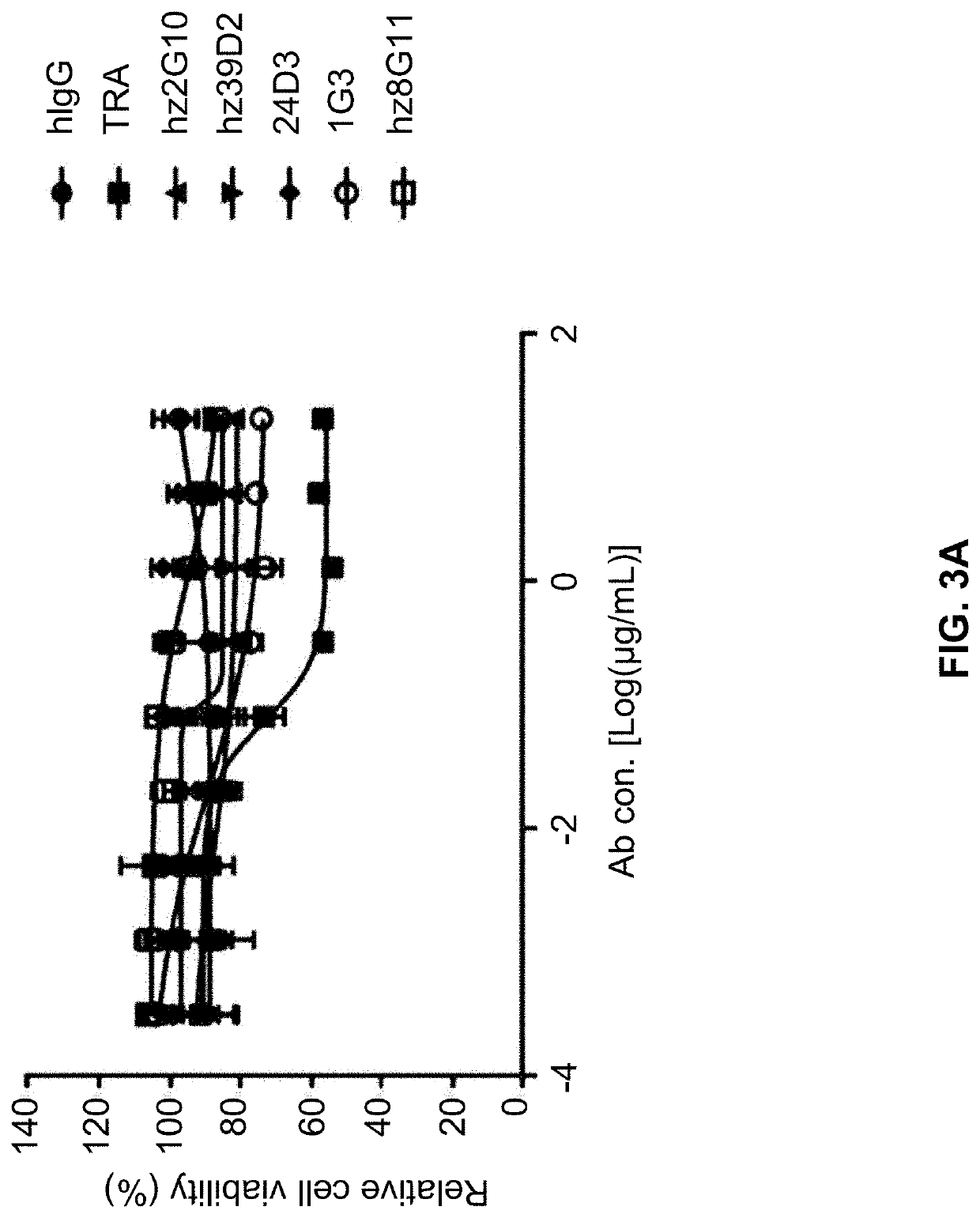 Anti-her2 antibody or antigen-binding fragment thereof, and chimeric antigen receptor comprising same