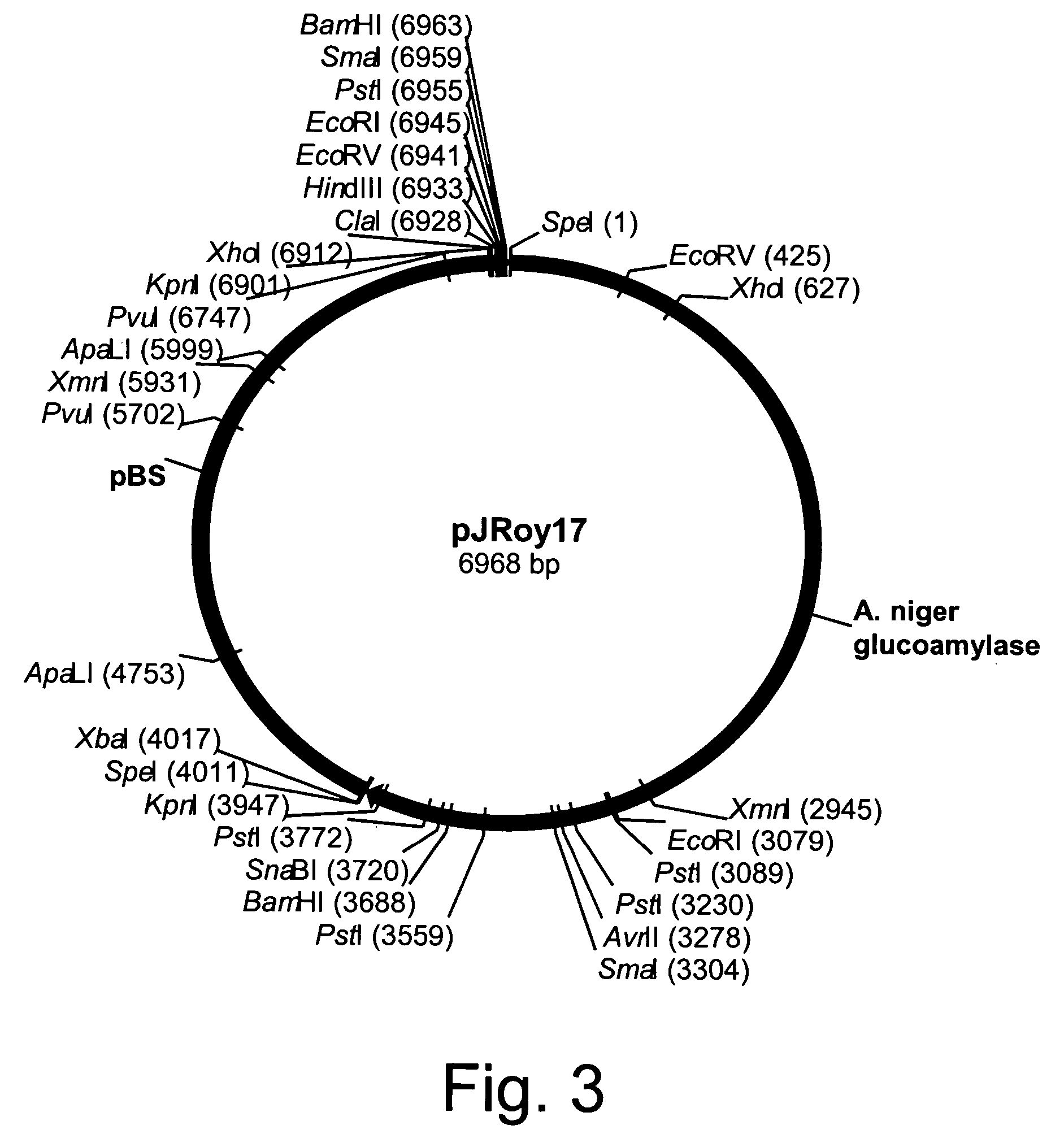 Methods for producing biological substances in enzyme-deficient mutants of Aspergillus