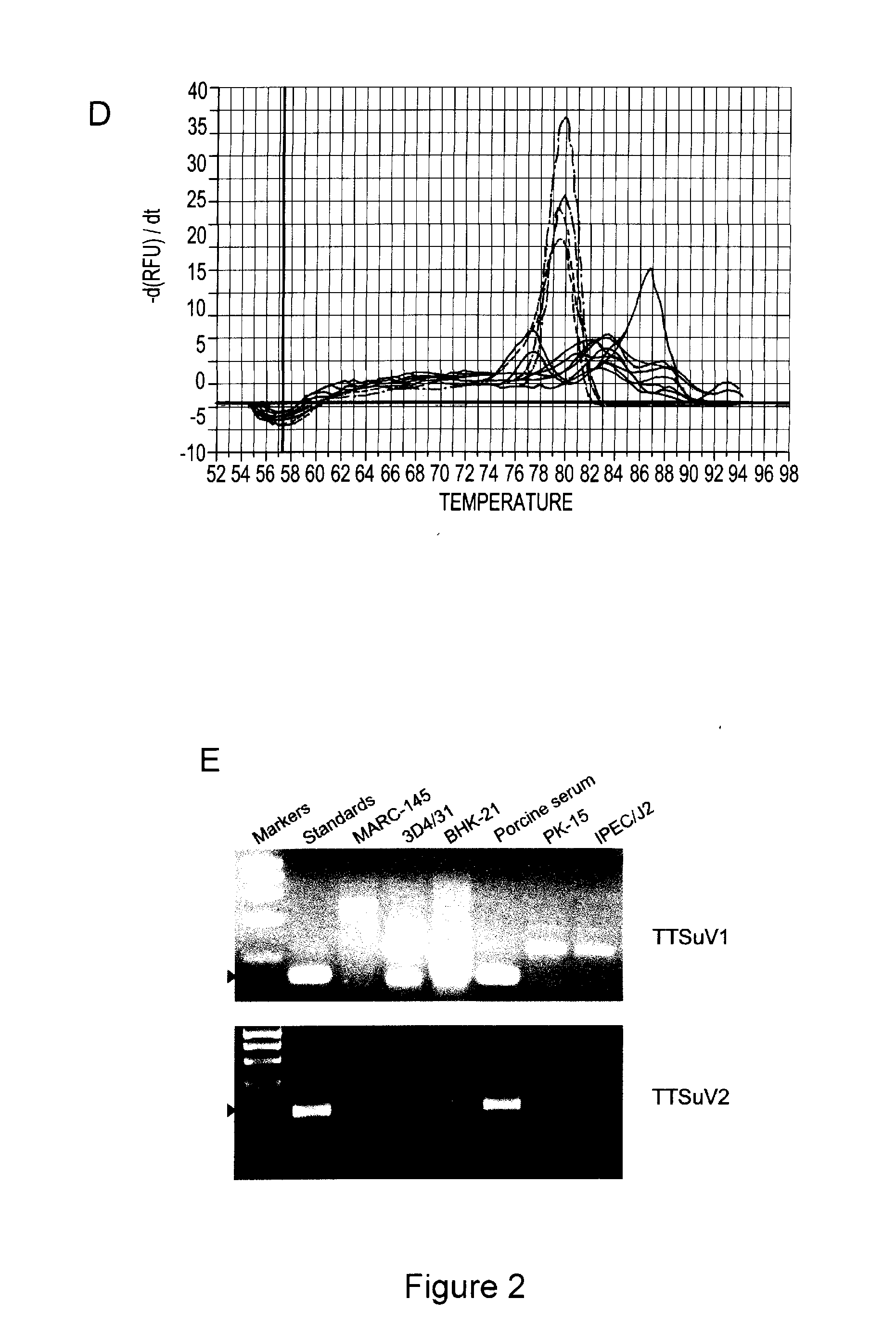 Infectious genomic DNA clone and serological profile of torque teno sus virus 1 and 2