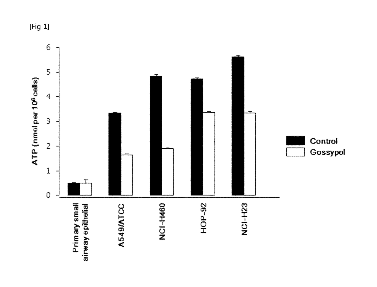 Pharmaceutical composition for cancer treatment containing gossypol and phenformin as active ingredients