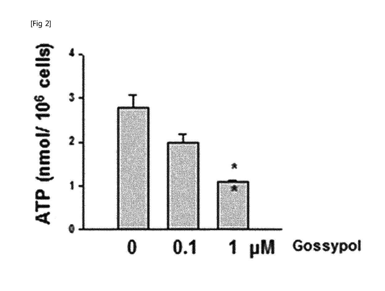 Pharmaceutical composition for cancer treatment containing gossypol and phenformin as active ingredients