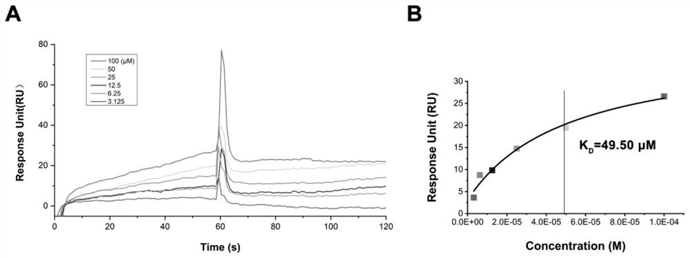 Small molecule inhibitor with anti-tumour activity targeting PD-1/PD-L1 interaction, and application of small-molecule inhibitor