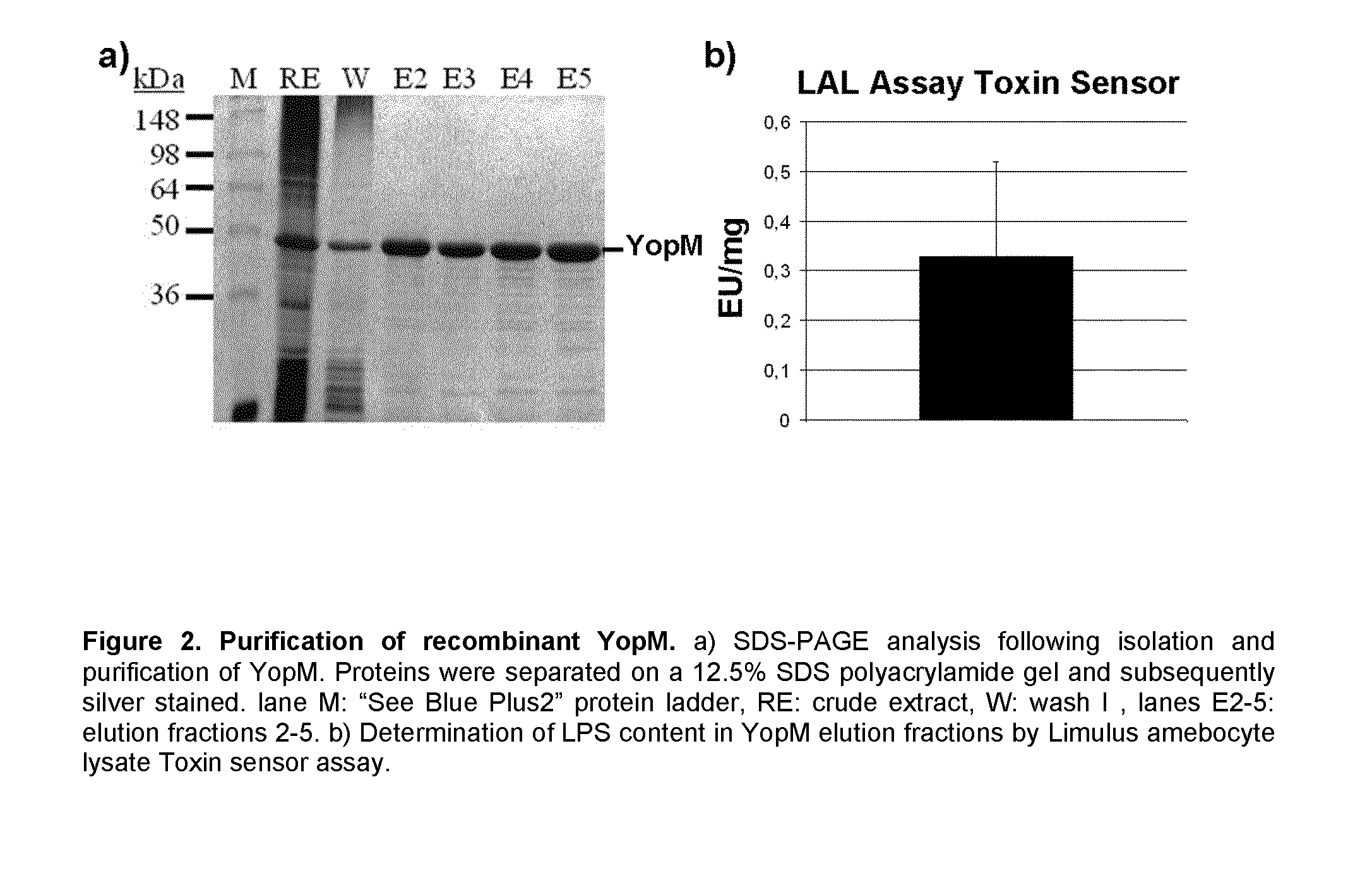 Yersinia outer protein m (YOPM) in the treatment of psoriasis