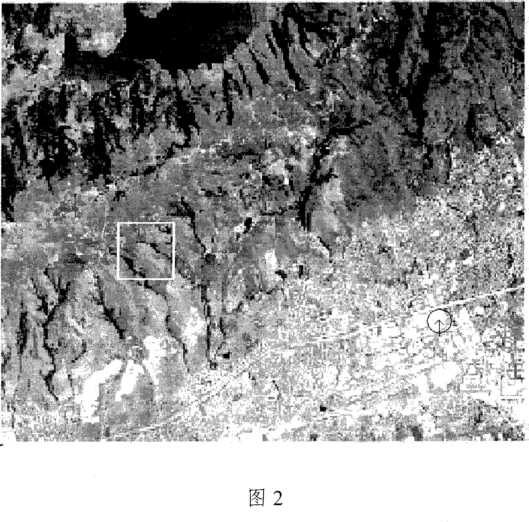 High spectrum sub-pixel target detection method and device