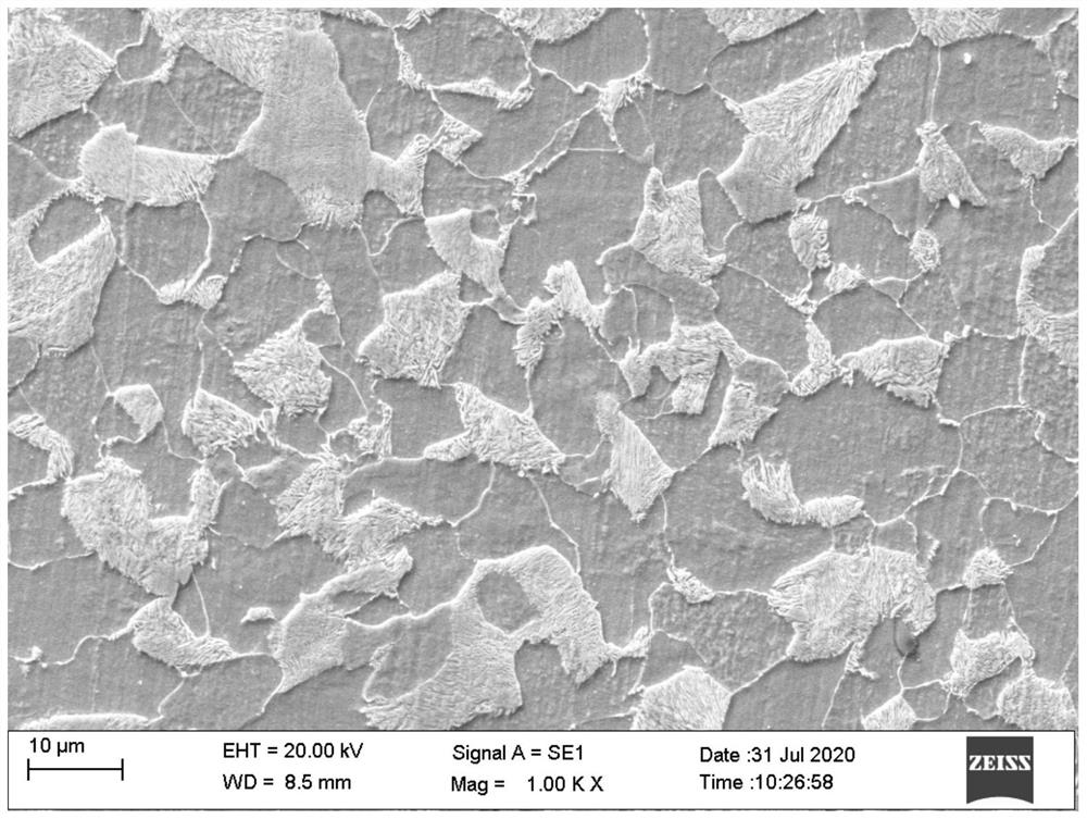 Display method for precipitation condition of ferrite along original austenite