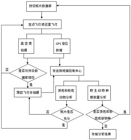 Monitoring method of wild animal community status based on UAV