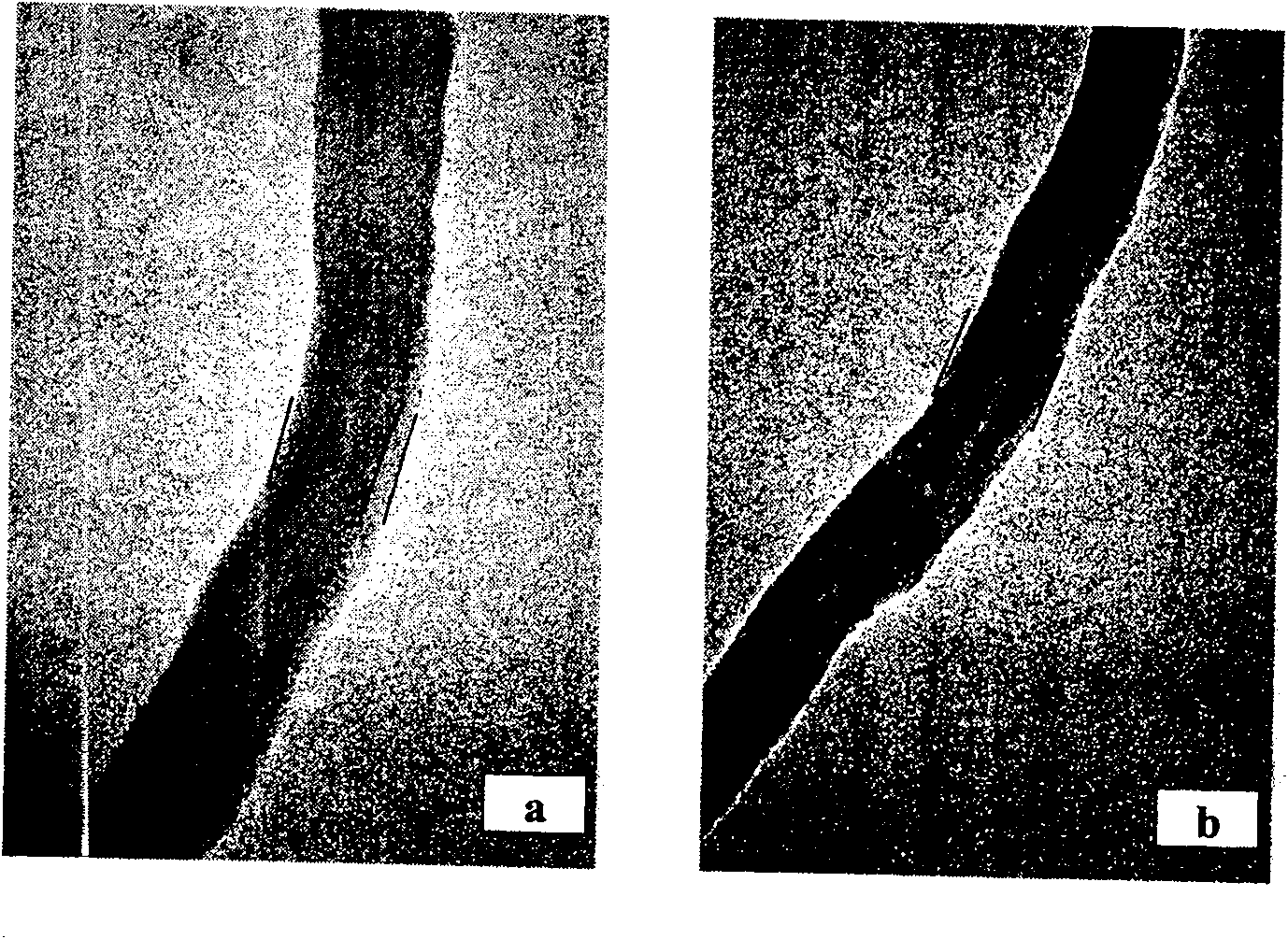 Polymer inarching carbon nano-tube and method of manufacturing the same