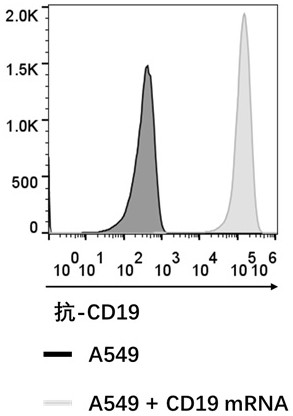 sgRNA and method for constructing gm-csf(-) cells using the same