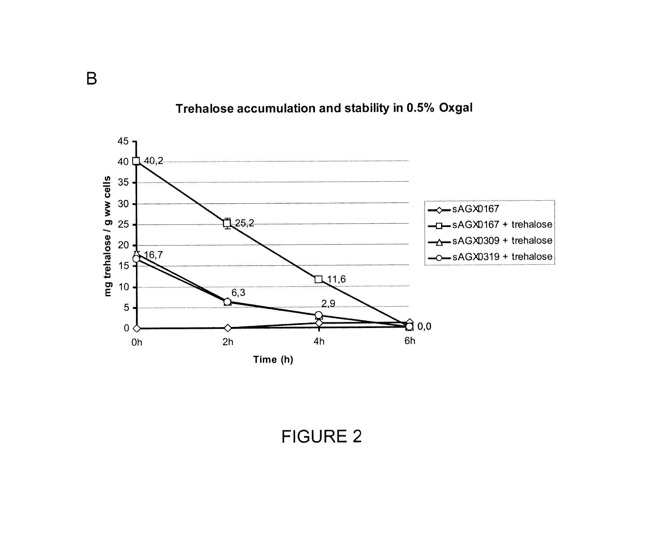 Modified gram positive bacteria and uses thereof