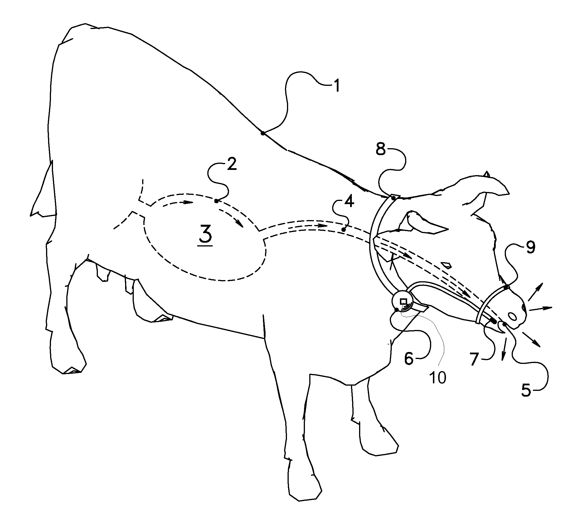 Method and device for determining greenhouse gas, in particular methane, emitted by a ruminant, in particular a dairy animal