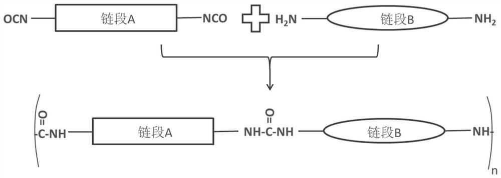 A kind of negative electrode polymer protective coating of lithium ion battery and its preparation method and application