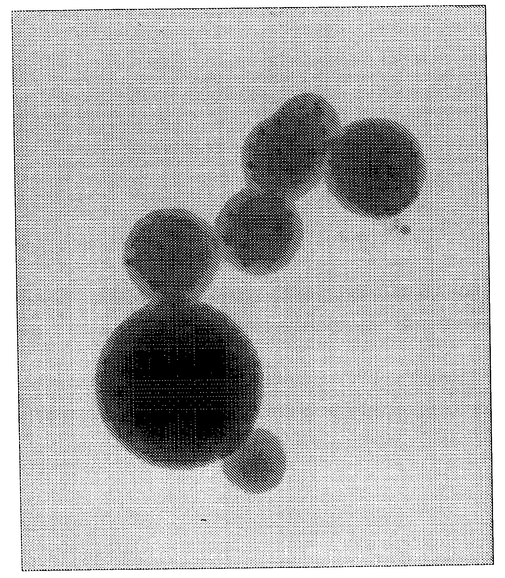 Semiconductor nanoparticle-encapsulating vinyl polymer, vinyl polymer mixture including same, and process of preparing the same