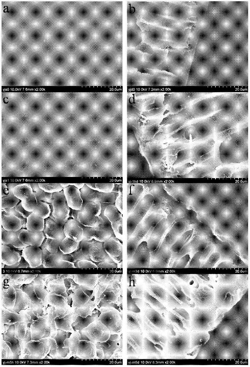 Boron-removed polysulphone modified affinitive membrane as well as preparation method and application